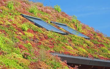 Tan Y Groes living roof systems