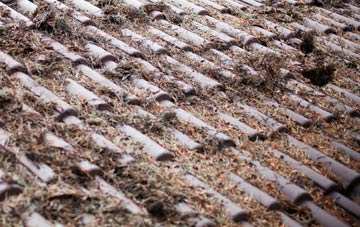 Tan Y Groes roof cleaning companies