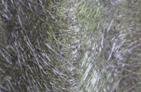 Tan Y Groes fibreglass roof work